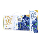 Mengniu Yogurt Beverage(Blueberry Flavor)