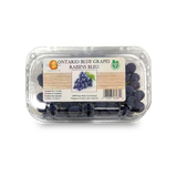Ontario Blue Grapes