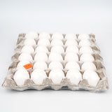 30 Pcs Small Egg(Pee)