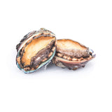 Frozen Abalone Fresh