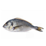 FRESH SEA BREAM