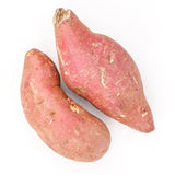 ORIENTAL RED SKIN YAM