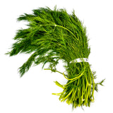 FRESH DILL