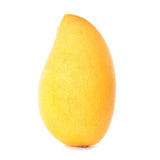 ATAULFO MANGO