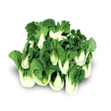 Baby Bok Choy Tips