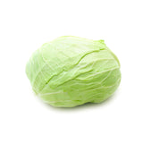 Large KOREAN CABBAGE