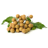 LONGAN