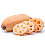 LOTUS ROOT