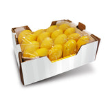 ATAULFO MANGO (Yellow Case)