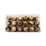 Spring Creek Quail Eggs