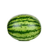 SEEDLESS WATERMELON