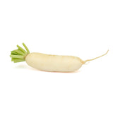 WHITE RADISH